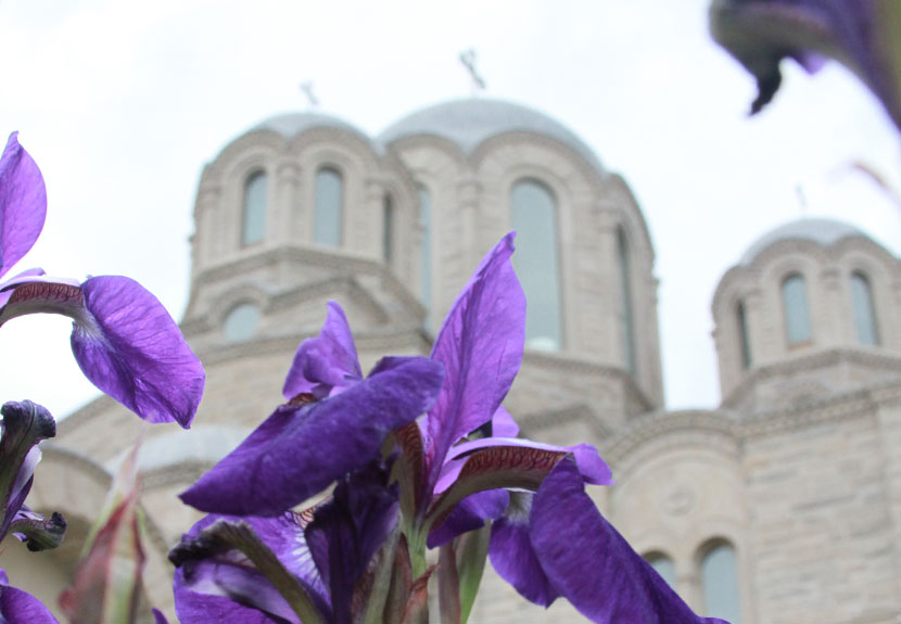 Presanctified Liturgy takes place at St. Sava during Great Lent – Wednesdays at 9:00 a.m.